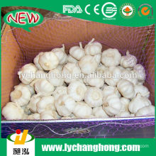 2014 New Crop Garlic with 20kg loose packing FOB USD 680/MT